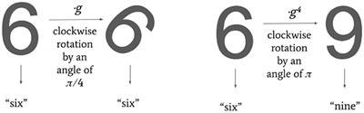 A topological model for partial equivariance in deep learning and data analysis